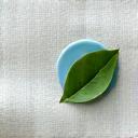 Icône d'une feuille sur un tissu, représentant les certifications écologiques textile comme OEKO-TEX et bluesign.
